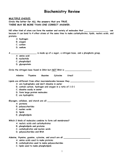 Biochemistry Review