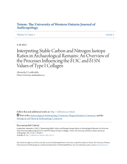 Interpreting Stable Carbon and Nitrogen Isotope Ratios in
