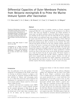 Differential Capacities of Outer Membrane Proteins from Neisseria