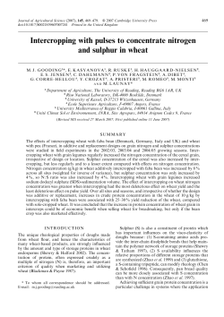Intercropping with pulses to concentrate nitrogen and
