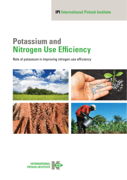 Potassium and Nitrogen Use Efficiency