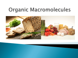 Organic Macromolecules