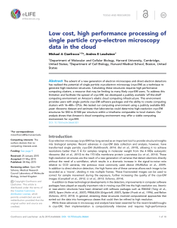 Low cost, high performance processing of single particle cryo