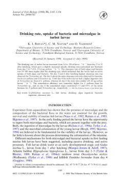 Drinking rate, uptake of bacteria and microalgae in turbot larvae