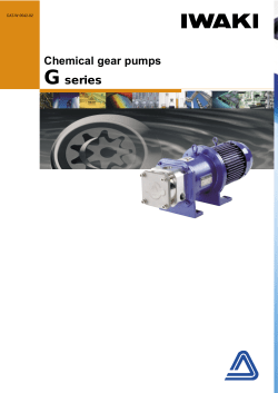Chemical gear pumps G series