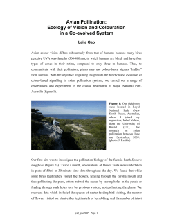 Avian Pollination: Ecology of Vision and