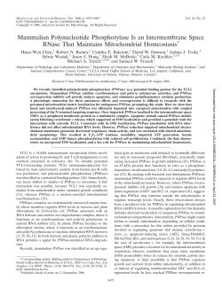 Mammalian Polynucleotide Phosphorylase Is an Intermembrane