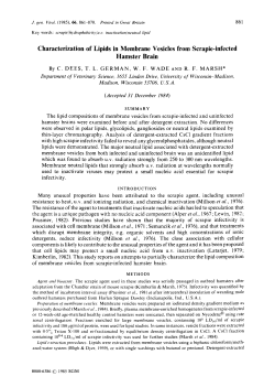 Characterization of Lipids in Membrane Vesicles from Scrapie