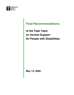 Final Recommendations of the Task Team on Income Support for