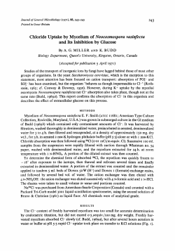 Chloride Uptake by Mycelium of Neocosmospora