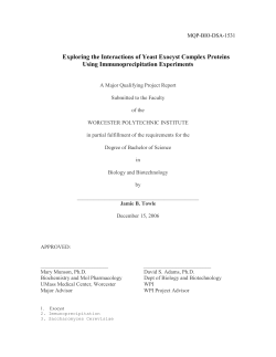 Exploring the Interactions of Yeast Exocyst Complex Proteins Using