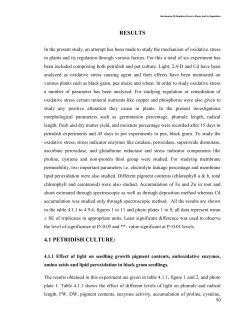 Effect of cadmium on black gram plants.
