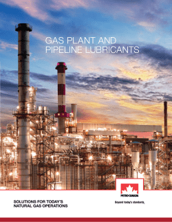gas plant and pipeline lubricants - Petro