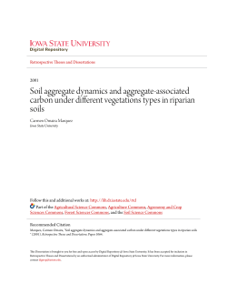 Soil aggregate dynamics and aggregate