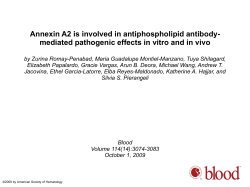 Powerpoint - Blood Journal