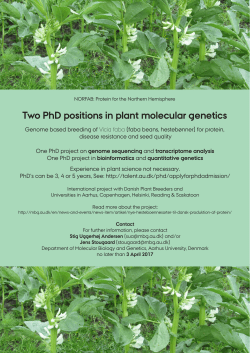 Two PhD positions in plant molecular genetics