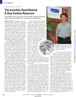The Invisible Hand Behind A Vast Carbon Reservoir