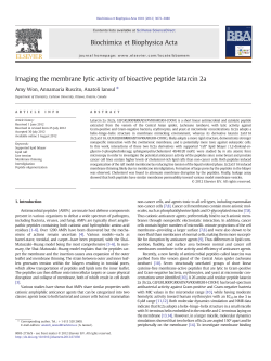 Imaging the membrane lytic activity of bioactive peptide latarcin 2a