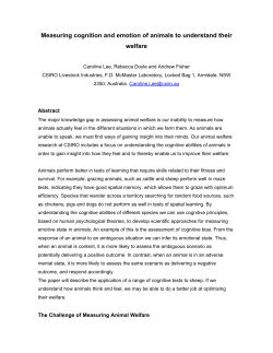 Cognitive and learning capacity of sheep