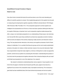 Same/Different Concept Formation in Pigeons Robert G. Cook How