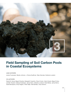 Field Sampling of Soil Carbon Pools in Coastal