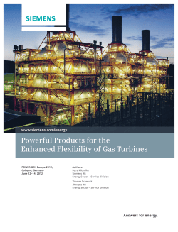 Powerful Products for the Enhanced Flexibility of - Energy