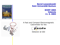 Fast and compact EMC for PANDA