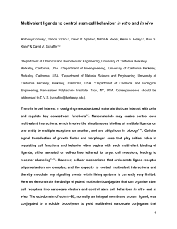 Multivalent effectors to control stem cell differentiation