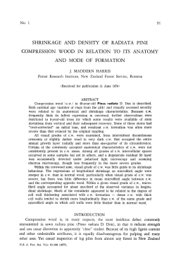 Shrinkage and density of radiata pine compression wood in