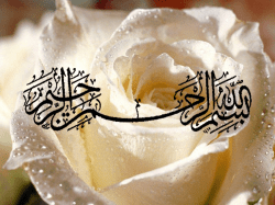 Low-intensity Extracorporeal Shock Wave in Treatment of Erectile