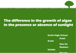 Procedure Paper chromatography