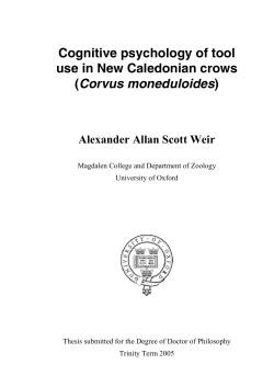 Cognitive psychology of tool use in New Caledonian crows (Corvus