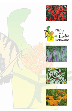 Plants for a Livable Delaware