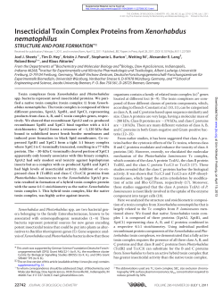 Insecticidal Toxin Complex Proteins from Xenorhabdus nematophilus