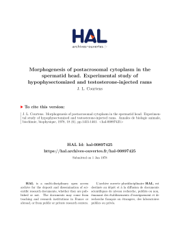 Morphogenesis of postacrosomal cytoplasm in the - HAL