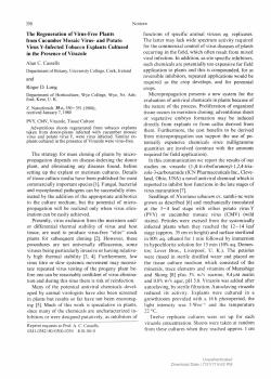 The Regeneration of Virus-Free Plants from Cucumber