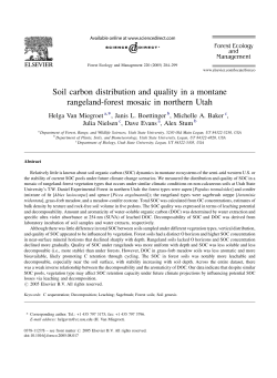 Soil carbon distribution and quality in a montane rangeland