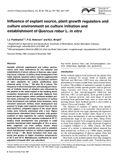 Influence of explant source, plant growth