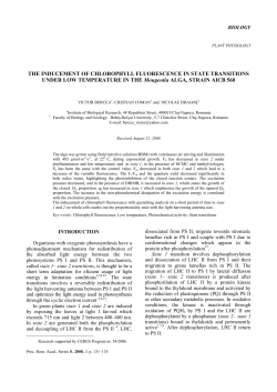 THE INDUCEMENT OF CHLOROPHYLL FLUORESCENCE IN