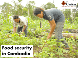 Food security in Cambodia