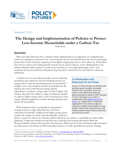 The Design and Implementation of Policies to Protect Low