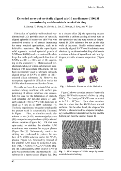 Extended arrays of vertically aligned sub