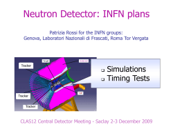 Neutron Detector: INFN plans - CEA-Irfu