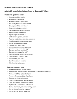 GVAS Native Plants and Trees for Birds Adapted From Bringing