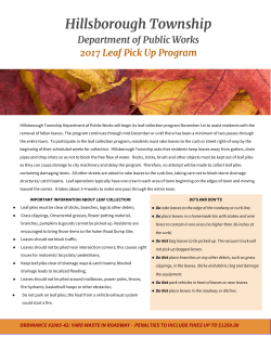 Hillsborough Township Department of Public Works 2017 Leaf Pick