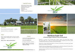 Bambusa Super Soil - Bambusa Global Ventures