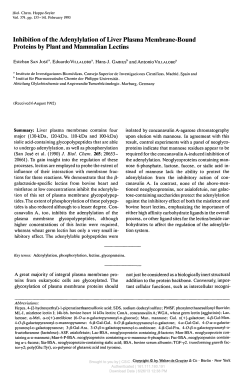Inhibition of the Adenylylation of Liver Plasma Membrane