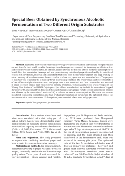 Special Beer Obtained by Synchronous Alcoholic Fermentation of