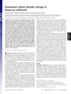 Permanent carbon dioxide storage in deep