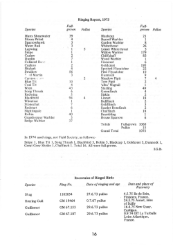 Full- Full- Species grown Pullus Species grown Pull us 39 21 4 I 3 8